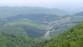 Mountain valley view